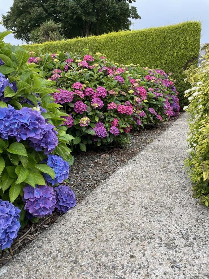 Galloway Farmstay Claunch Newton Stewart Bagian luar foto