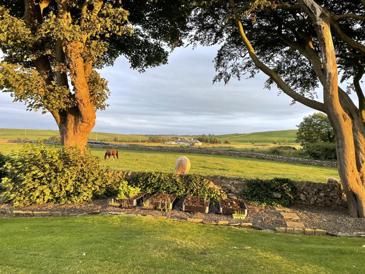 Galloway Farmstay Claunch Newton Stewart Bagian luar foto